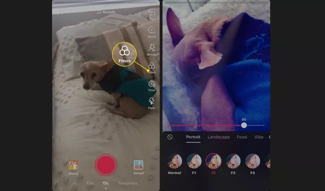 فیلترها در تیک تاک