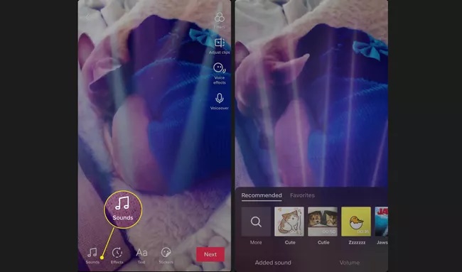 Sounds در تیک تاک