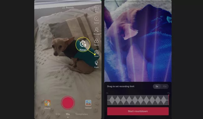 تایمر در تیک تاک