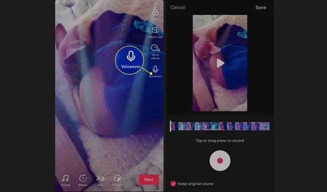 Voiceover در تیک تاک