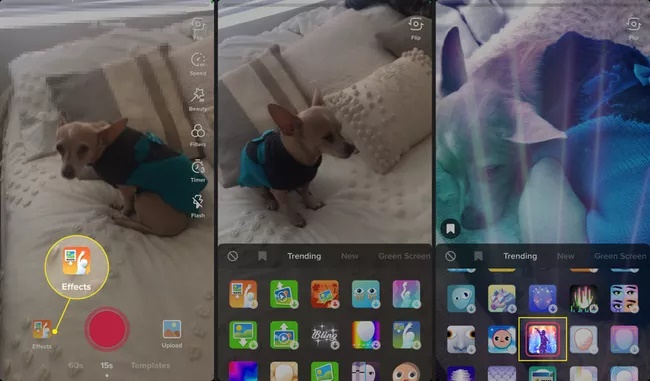 افکت ها در تیک تاک