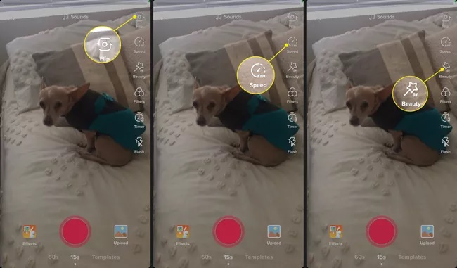 جلوه ها در تیک تاک